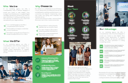 Business Brochure Back