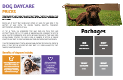 Pet Palooza Back