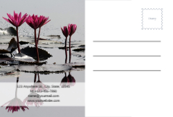 Agro Artistry Back
