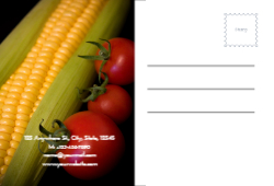 Farmstead Fiesta Back