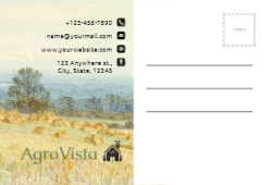 Vineyard Venture Back
