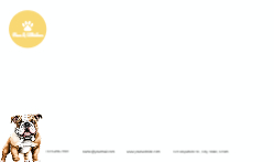 Swift Solutions Front