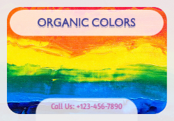 Rainbow Colors Front
