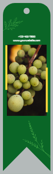 Seedless Farm