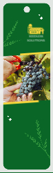 Seedless Farm Front