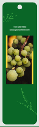 Seedless Farm Back