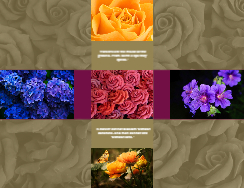 Flower Spot Back