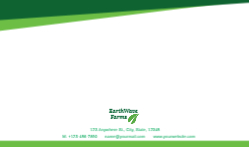Green Leaf Front