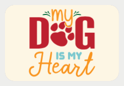 My Pet Front