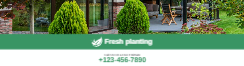 Exterior Planting Front