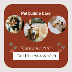 Pet Care Front