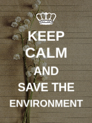 Live Environment Front